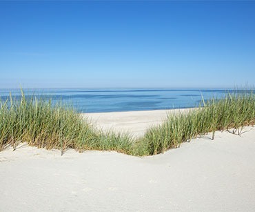 Weisser Sandstrand und grünes Gras am Meer