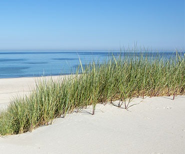 Weisser Sandstrand und grünes Gras am Meer