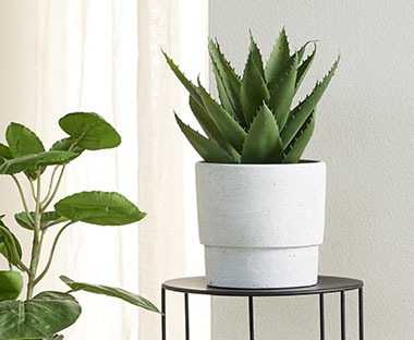 Vaso per piante grigio su piedistallo nero, ornato da una bella pianta verde