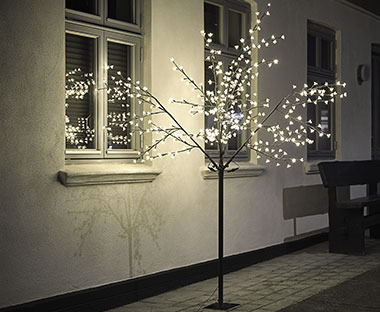 Lichterbaum vor einem Haus mit weissen Aussenfassaden