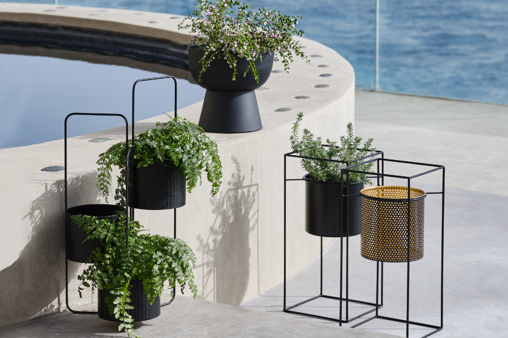 Économisez 30-60% sur de nombreux pots de fleurs