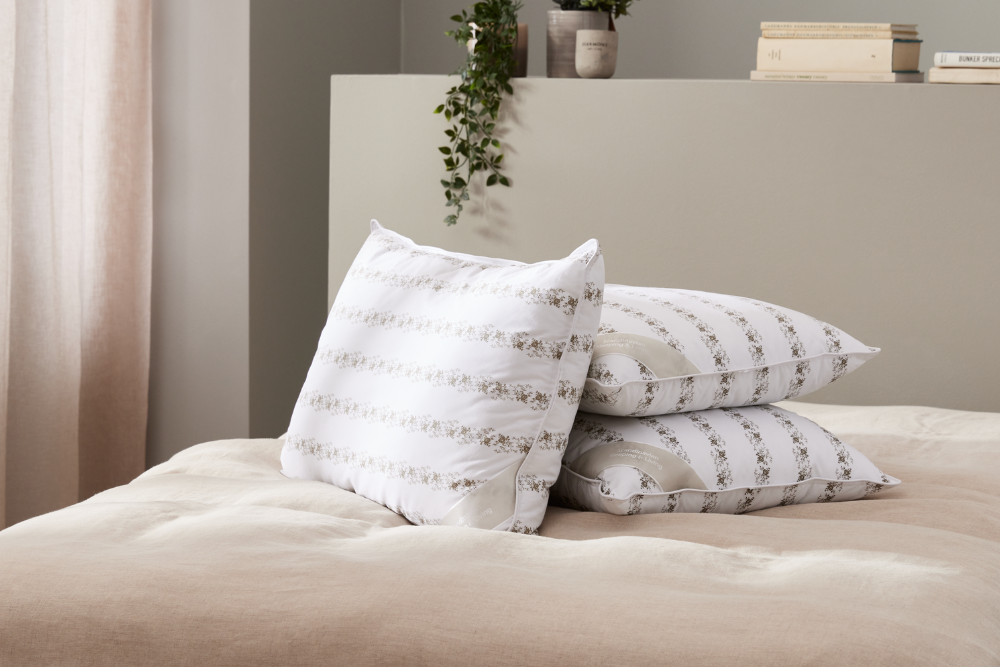 Spare 20-60% auf viele Duvets und Kopfkissen