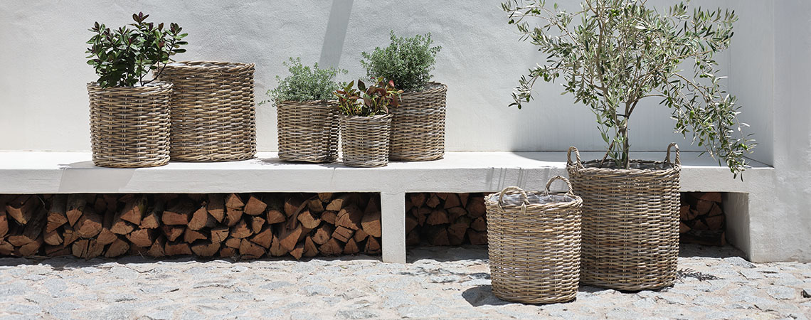 Bacs à fleurs et cache-pots d'extérieur en rotin dans un jardin lumineux