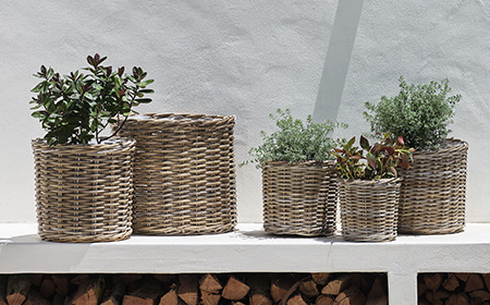 Guida all'acquisto di fioriere e vasi per piante da giardino