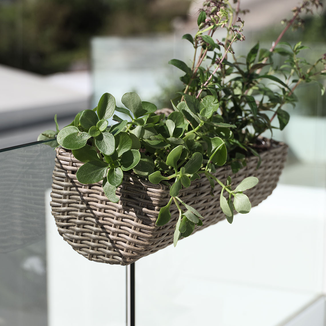 Balconnière suspendue en polyrotin ne nécessitant pas d’entretien avec des plantes vertes