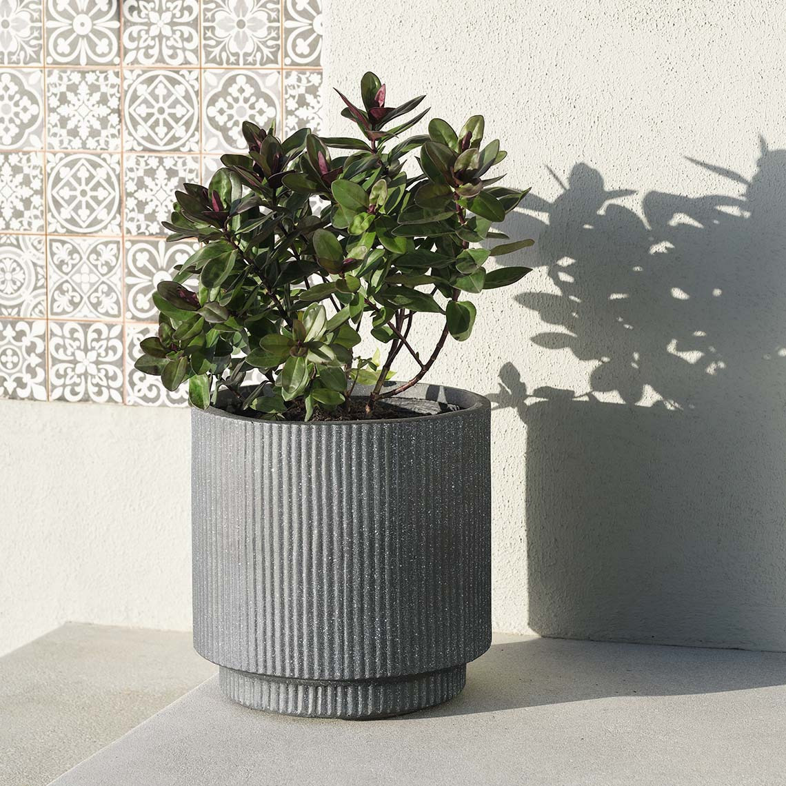 Anthracite grey, frostproof garden planter made from fibre clay with green plant on patio