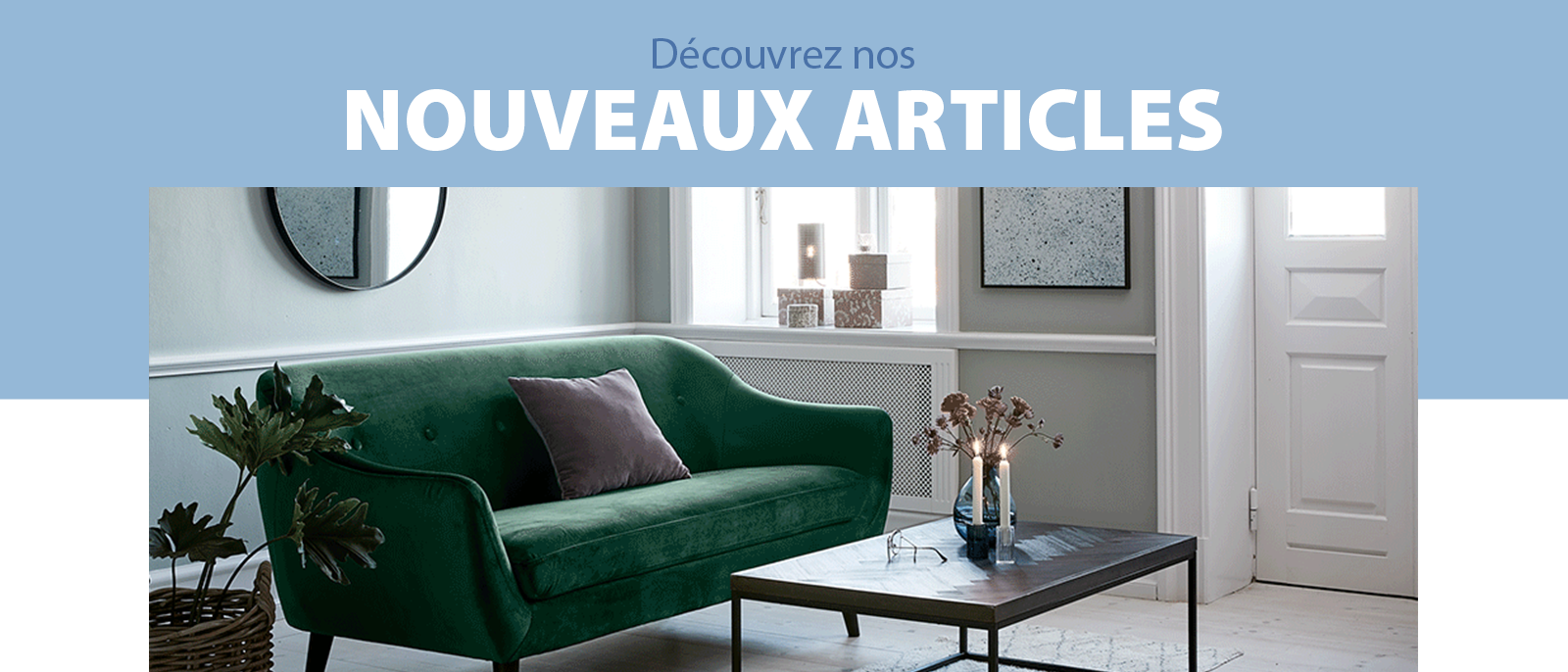 Découvrez nos nouveaux articles