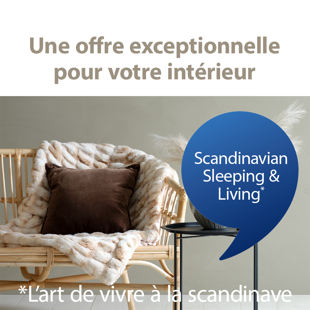 Scandinavian Sleeping and Living