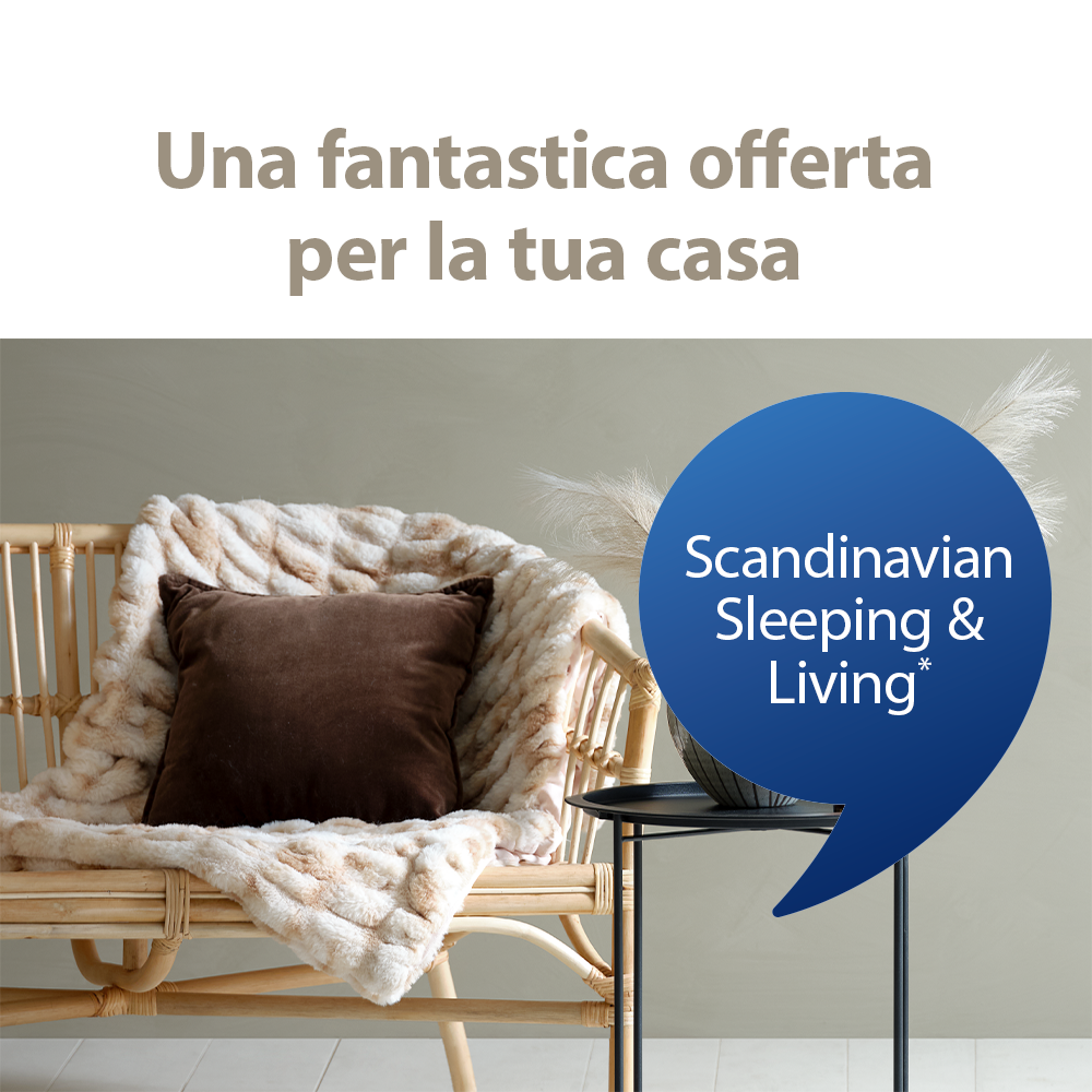 Scandinavian Sleeping and Living