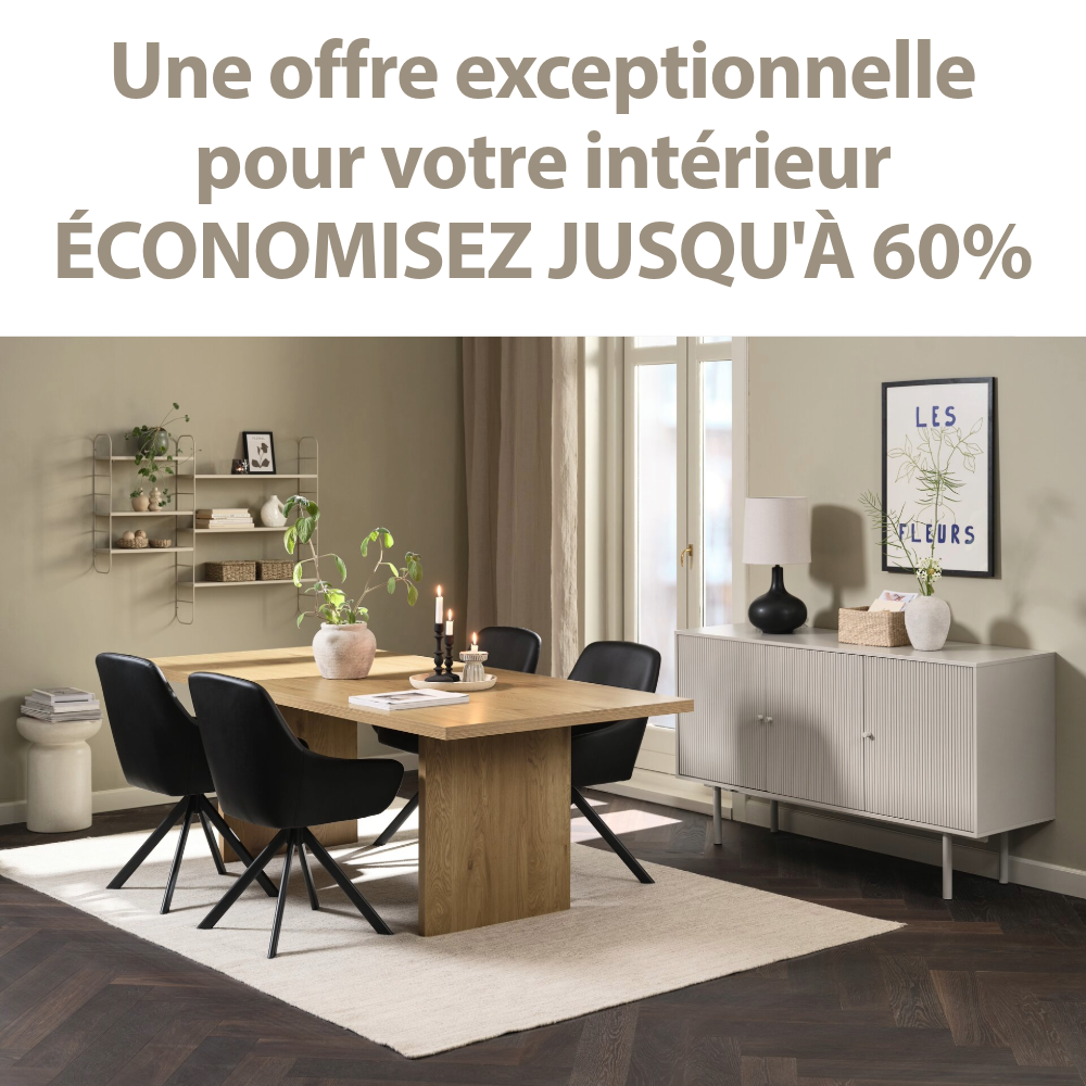 Une offre exceptionnelle pour votre intérieur