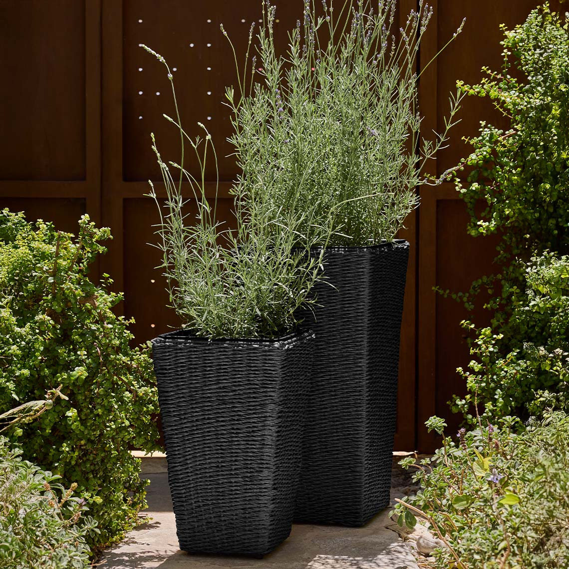 Grands paniers pour plantes en polyrotin noir