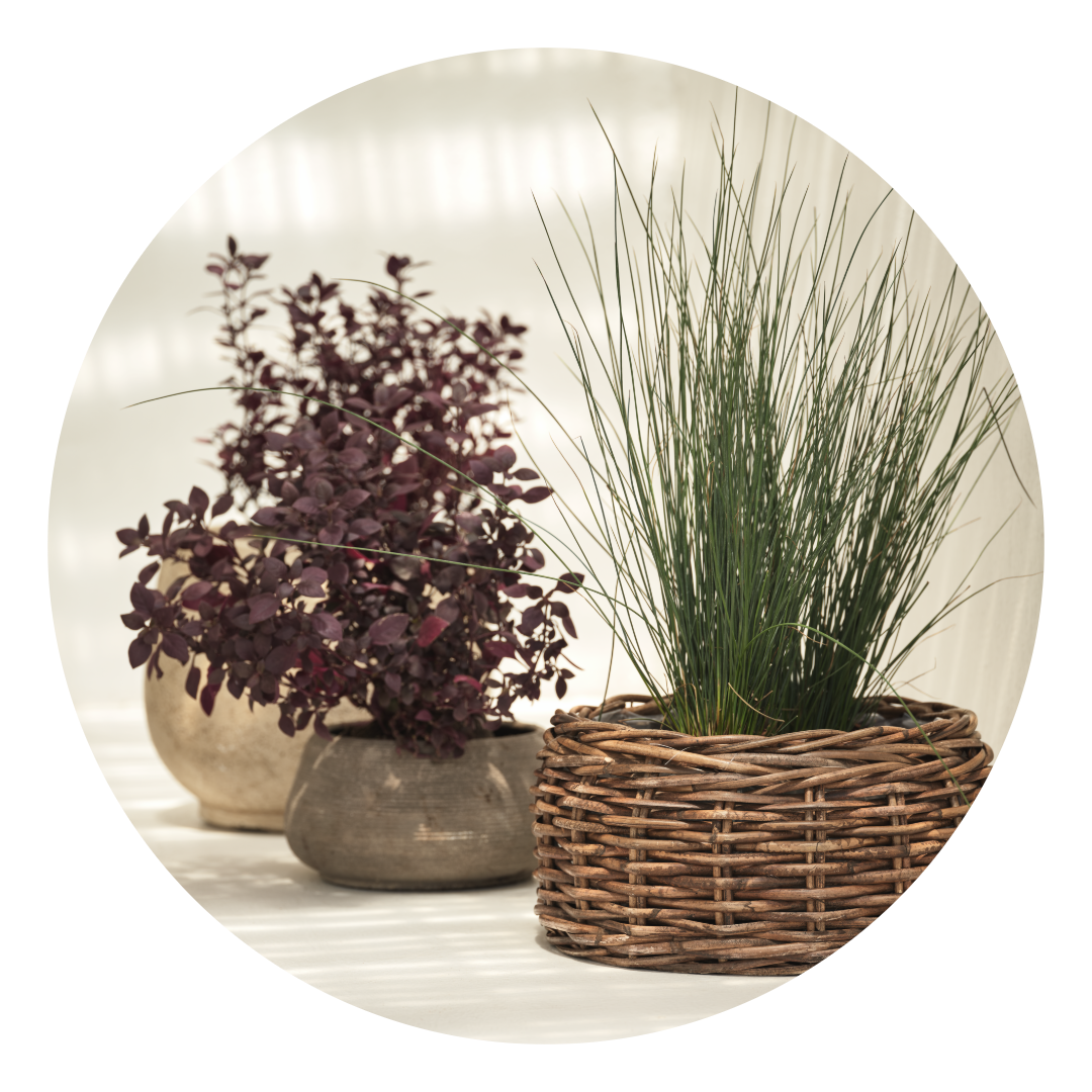Pots de fleurs