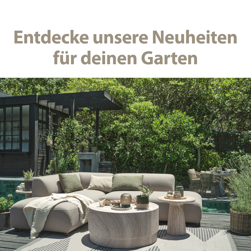 Entdecke unsere Neuheiten