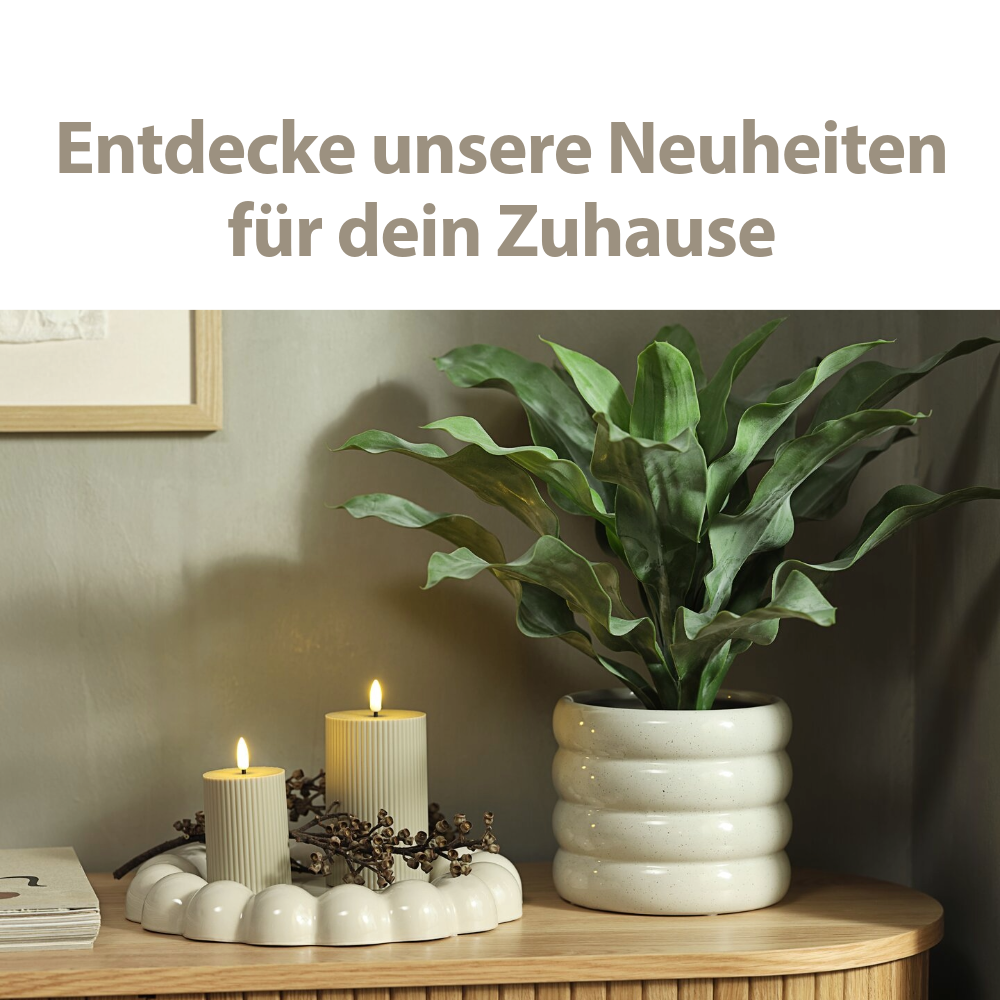 Neuheiten