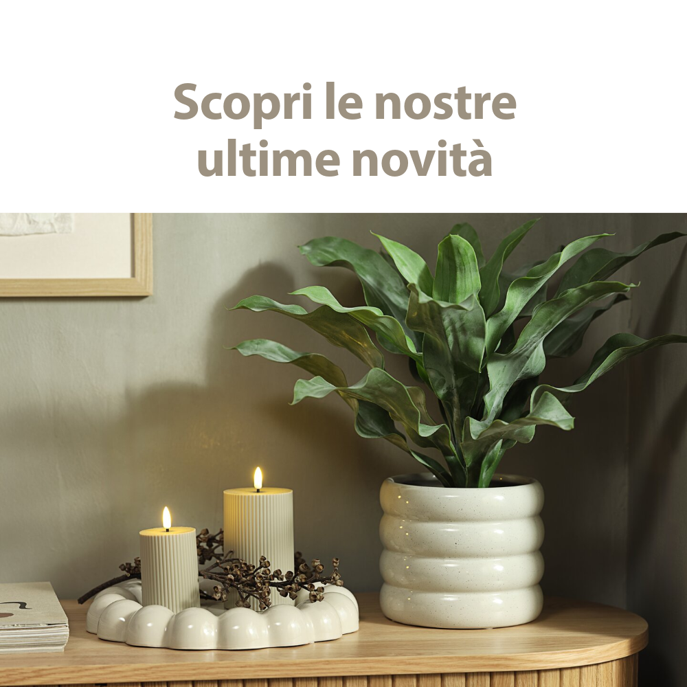 Scopri le novità