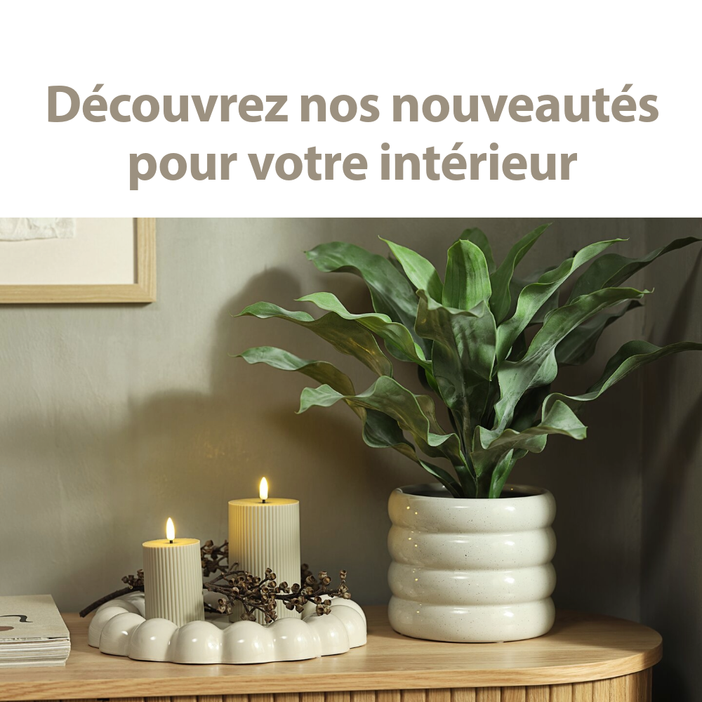 Nouveautés pour votre intérieur