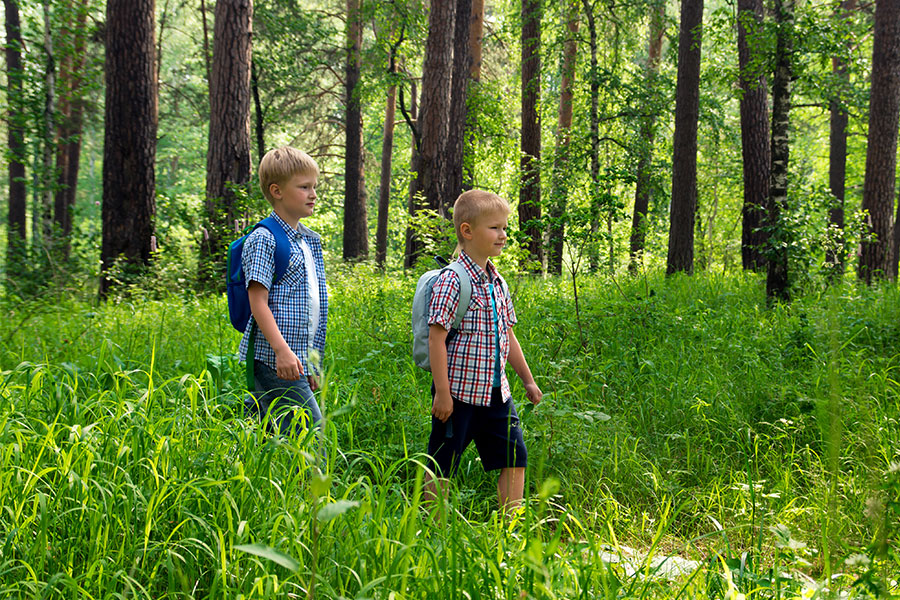 Zwei Jungen spazieren im Wald mit einem Rucksack